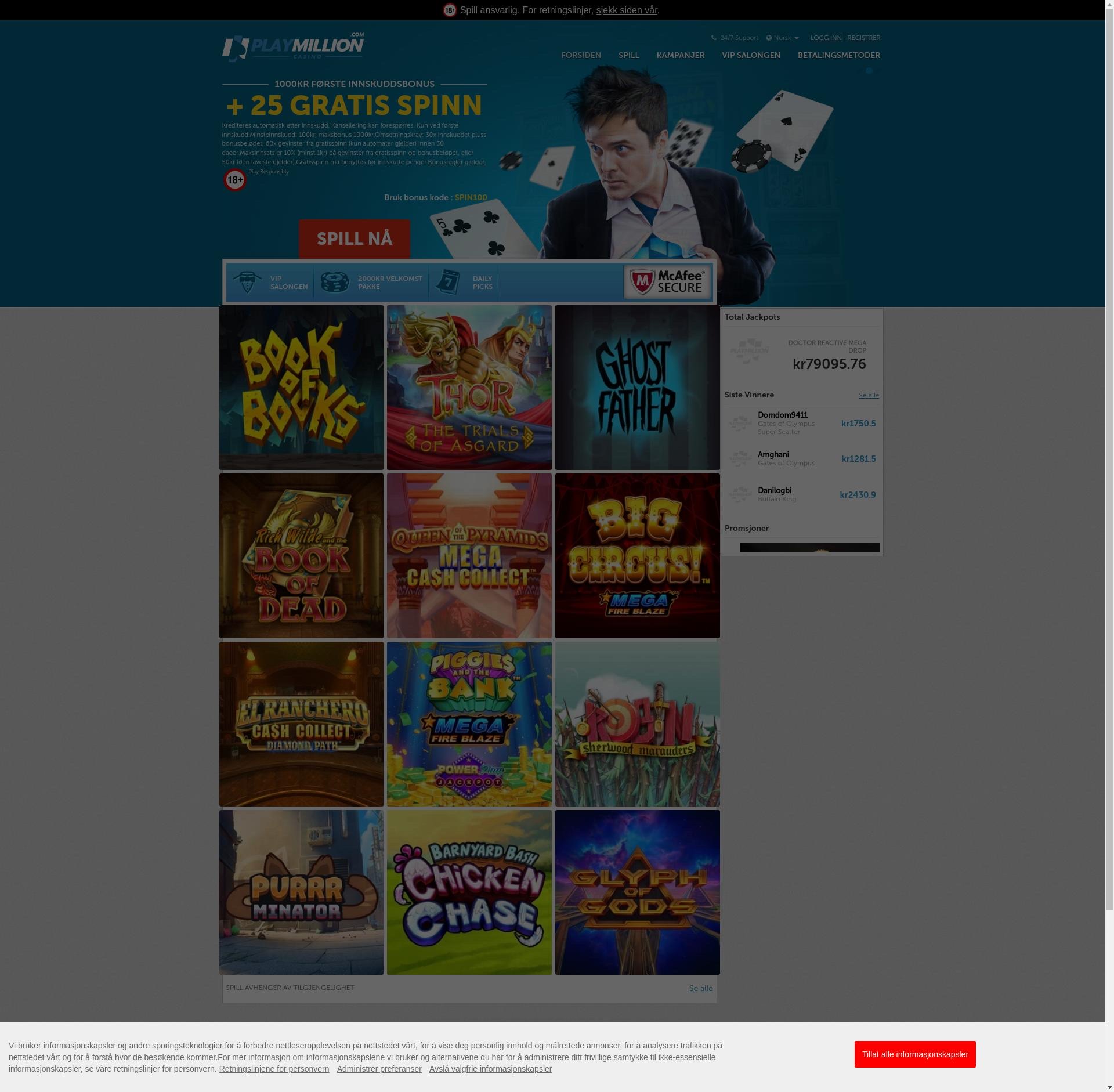 PlayMillion Casino Logo Official Website